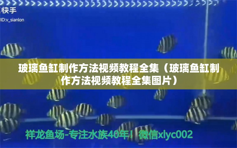 玻璃魚缸制作方法視頻教程全集（玻璃魚缸制作方法視頻教程全集圖片） 其他品牌魚缸