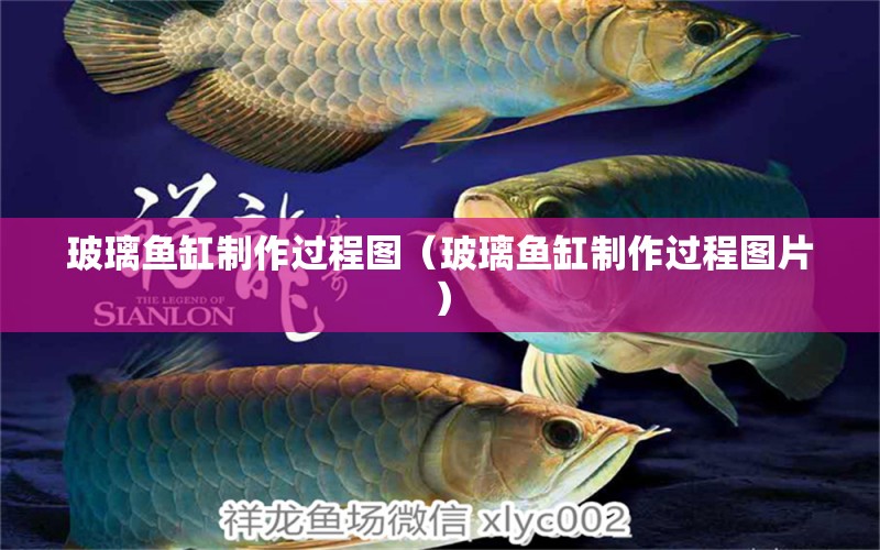 玻璃魚缸制作過程圖（玻璃魚缸制作過程圖片） 電鰻