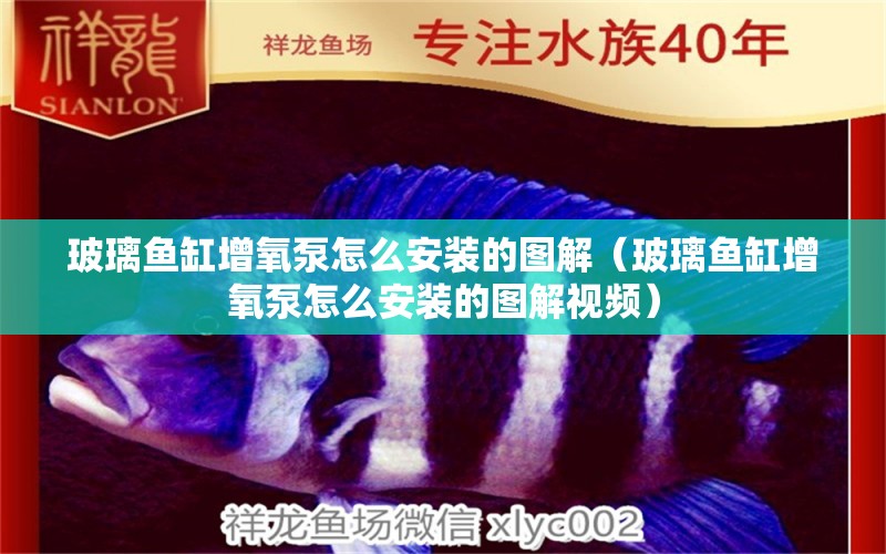 玻璃魚(yú)缸增氧泵怎么安裝的圖解（玻璃魚(yú)缸增氧泵怎么安裝的圖解視頻）