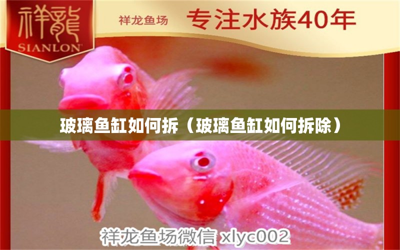 玻璃魚缸如何拆（玻璃魚缸如何拆除） 刀魚魚