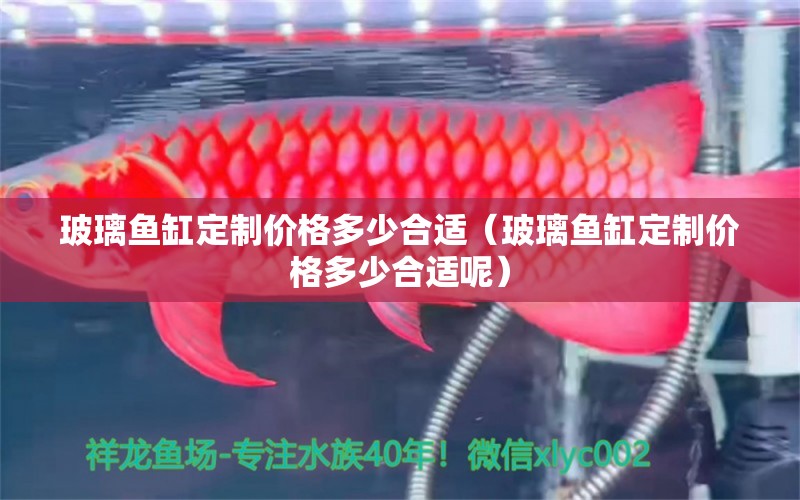 玻璃魚缸定制價格多少合適（玻璃魚缸定制價格多少合適呢） 巨骨舌魚