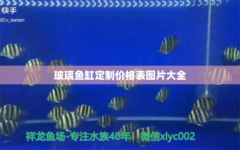 玻璃魚缸定制價格表圖片大全