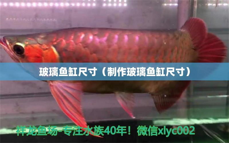 玻璃魚缸尺寸（制作玻璃魚缸尺寸）