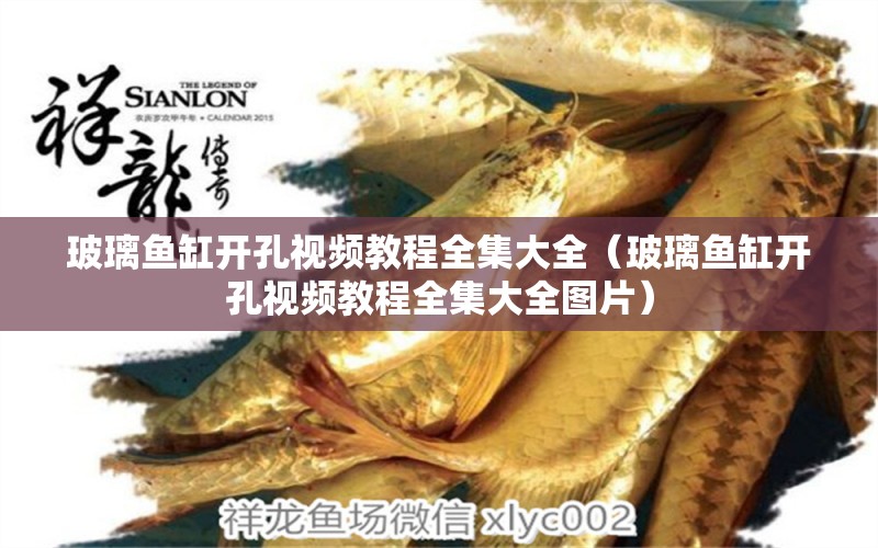 玻璃魚(yú)缸開(kāi)孔視頻教程全集大全（玻璃魚(yú)缸開(kāi)孔視頻教程全集大全圖片）