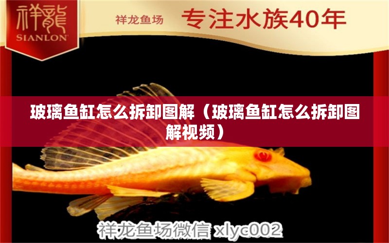 玻璃魚(yú)缸怎么拆卸圖解（玻璃魚(yú)缸怎么拆卸圖解視頻） 元寶鳳凰魚(yú)