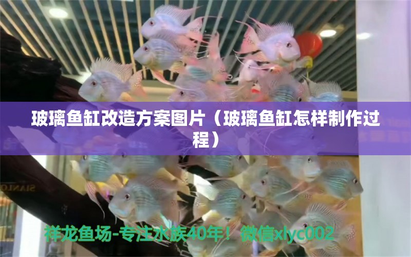 玻璃魚缸改造方案圖片（玻璃魚缸怎樣制作過程） 帝王迷宮魚