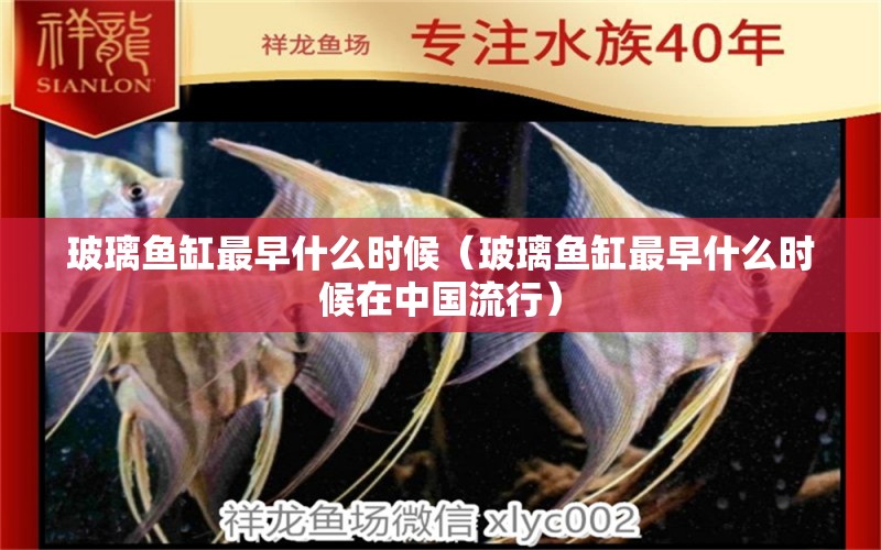 玻璃魚缸最早什么時(shí)候（玻璃魚缸最早什么時(shí)候在中國流行）