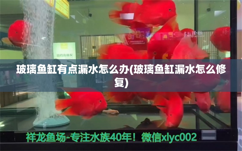 玻璃魚缸有點漏水怎么辦(玻璃魚缸漏水怎么修復) 水族燈（魚缸燈）