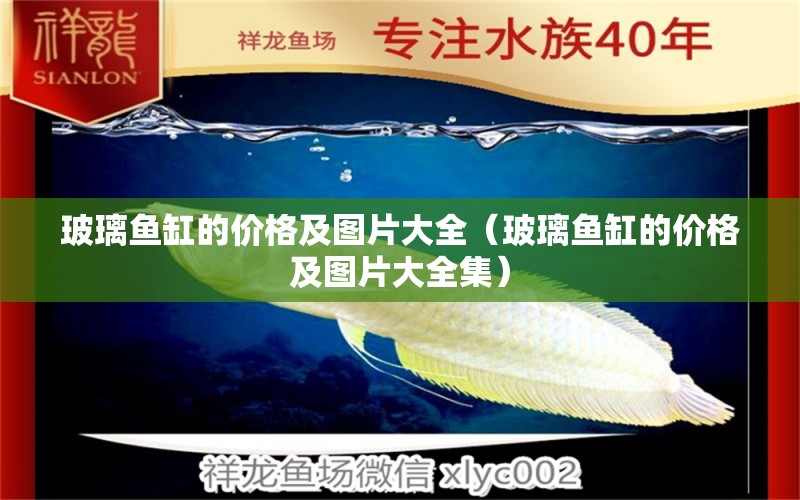 玻璃魚缸的價格及圖片大全（玻璃魚缸的價格及圖片大全集） 祥龍水族醫(yī)院