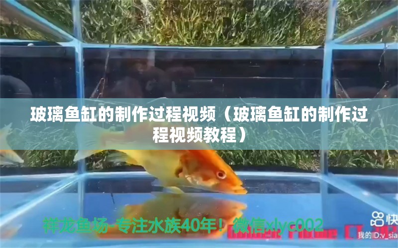 玻璃魚缸的制作過程視頻（玻璃魚缸的制作過程視頻教程）