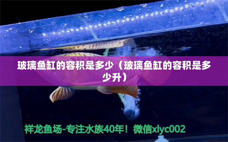 玻璃魚缸的容積是多少（玻璃魚缸的容積是多少升）