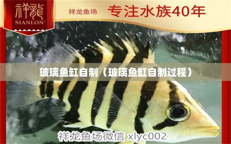 玻璃魚(yú)缸自制（玻璃魚(yú)缸自制過(guò)程） 伊巴卡魚(yú)