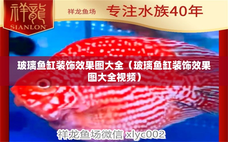 玻璃魚缸裝飾效果圖大全（玻璃魚缸裝飾效果圖大全視頻） 野生埃及神仙魚