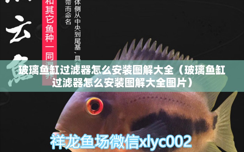 玻璃魚缸過濾器怎么安裝圖解大全（玻璃魚缸過濾器怎么安裝圖解大全圖片）