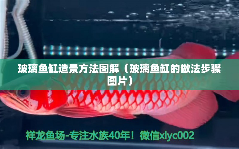 玻璃魚(yú)缸造景方法圖解（玻璃魚(yú)缸的做法步驟圖片）