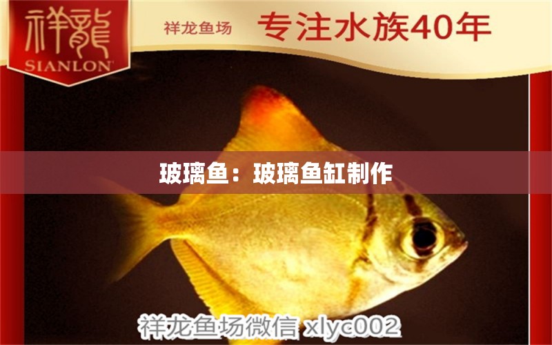 玻璃魚：玻璃魚缸制作 祥龍龍魚魚糧