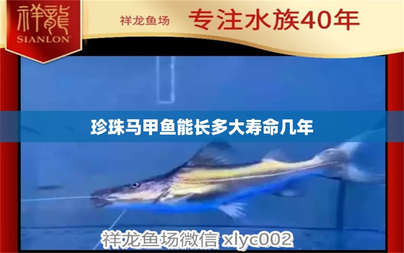 珍珠馬甲魚能長多大壽命幾年