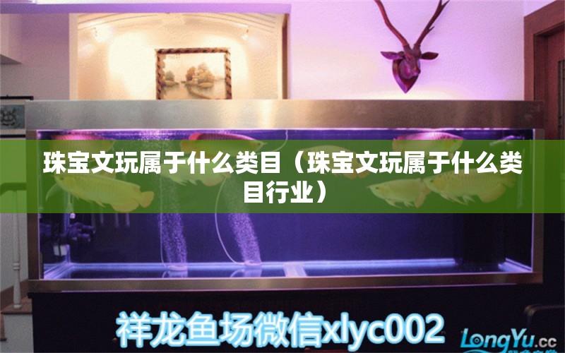 珠寶文玩屬于什么類目（珠寶文玩屬于什么類目行業(yè)）