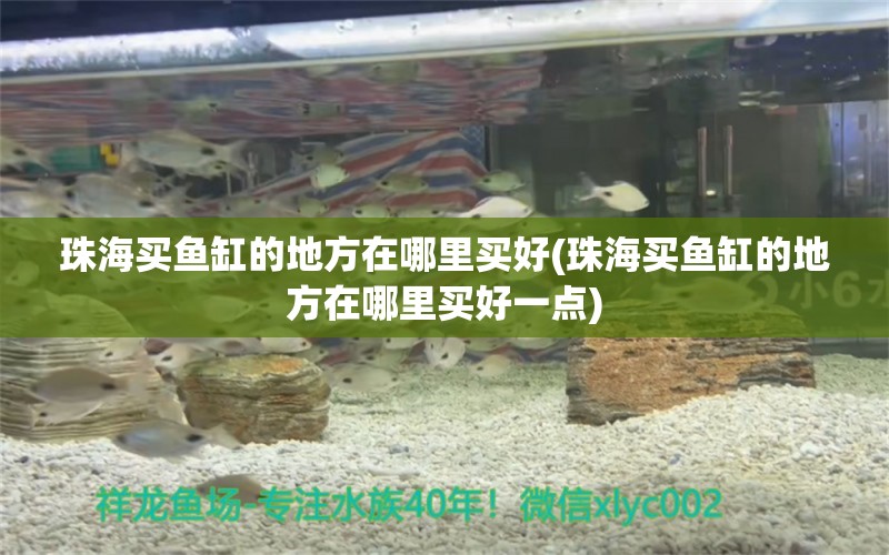 珠海買魚缸的地方在哪里買好(珠海買魚缸的地方在哪里買好一點(diǎn)) 古典過背金龍魚