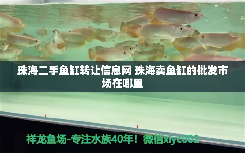 珠海二手魚缸轉(zhuǎn)讓信息網(wǎng) 珠海賣魚缸的批發(fā)市場(chǎng)在哪里 馬印水族 第1張