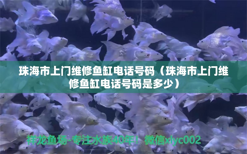 珠海市上門維修魚缸電話號(hào)碼（珠海市上門維修魚缸電話號(hào)碼是多少）