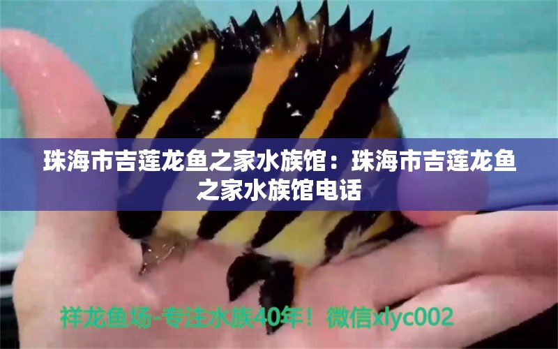 珠海市吉蓮龍魚之家水族館：珠海市吉蓮龍魚之家水族館電話 龍魚之家