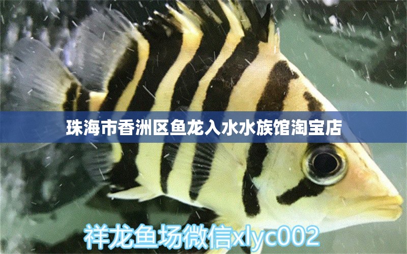 珠海市香洲區(qū)魚(yú)龍入水水族館淘寶店 全國(guó)水族館企業(yè)名錄