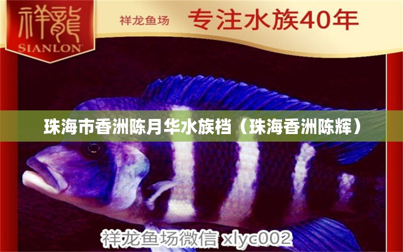 珠海市香洲陳月華水族檔（珠海香洲陳輝）