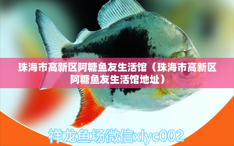 珠海市高新區(qū)阿糖魚友生活館（珠海市高新區(qū)阿糖魚友生活館地址）