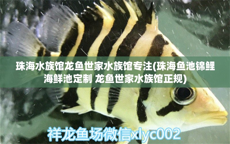 珠海水族館龍魚世家水族館專注(珠海魚池錦鯉海鮮池定制 龍魚世家水族館正規(guī)) 海水魚（海水魚批發(fā)）