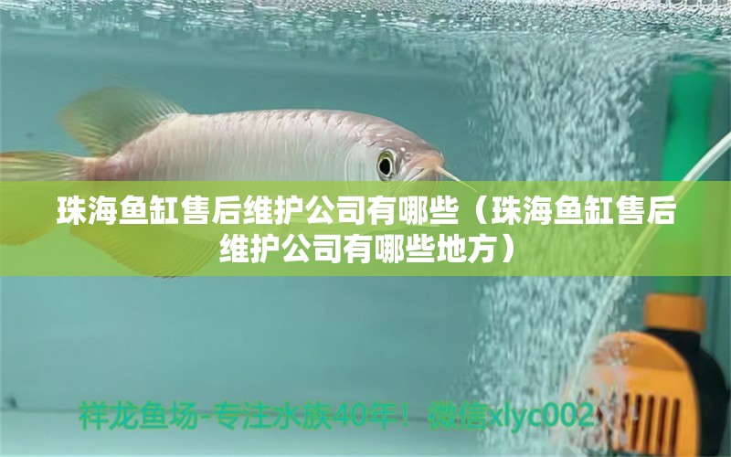 珠海魚缸售后維護公司有哪些（珠海魚缸售后維護公司有哪些地方）