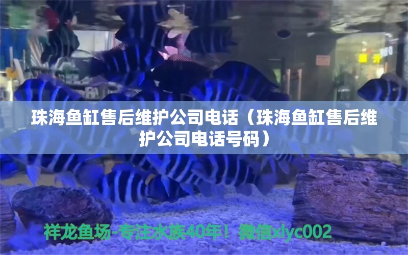 珠海魚(yú)缸售后維護(hù)公司電話(huà)（珠海魚(yú)缸售后維護(hù)公司電話(huà)號(hào)碼）