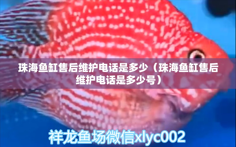 珠海魚(yú)缸售后維護(hù)電話是多少（珠海魚(yú)缸售后維護(hù)電話是多少號(hào)）