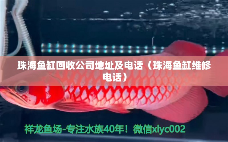 珠海魚缸回收公司地址及電話（珠海魚缸維修電話）