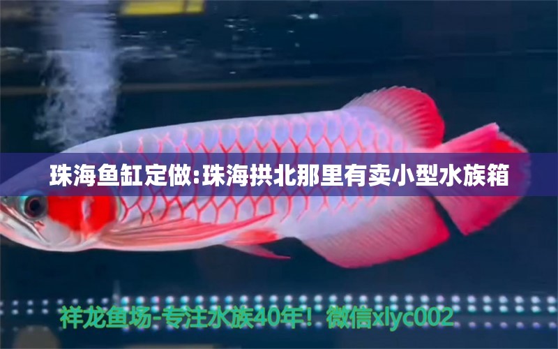 珠海魚缸定做:珠海拱北那里有賣小型水族箱