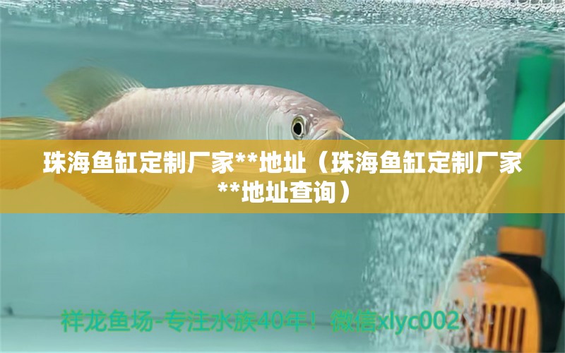 珠海魚缸定制廠家**地址（珠海魚缸定制廠家**地址查詢） 黃金達(dá)摩魚