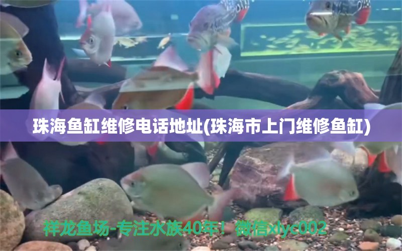 珠海魚缸維修電話地址(珠海市上門維修魚缸)