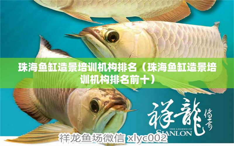 珠海魚缸造景培訓(xùn)機(jī)構(gòu)排名（珠海魚缸造景培訓(xùn)機(jī)構(gòu)排名前十） 觀賞魚市場(chǎng)（混養(yǎng)魚）