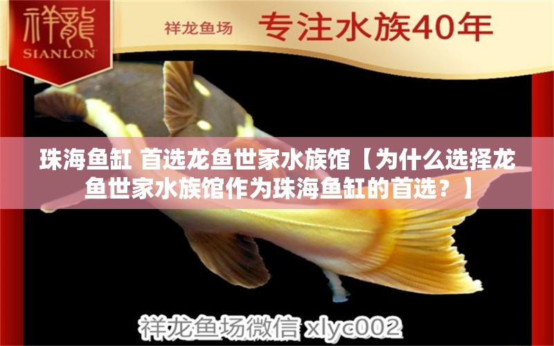 珠海魚缸 首選龍魚世家水族館【為什么選擇龍魚世家水族館作為珠海魚缸的首選？】 水族問答 第1張