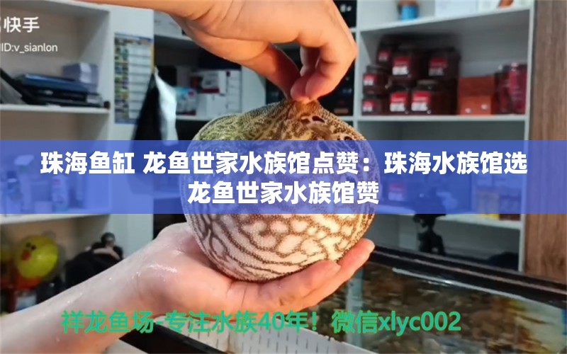 珠海魚缸 龍魚世家水族館點(diǎn)贊：珠海水族館選龍魚世家水族館贊