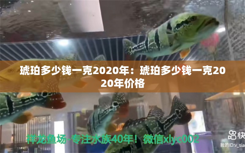 琥珀多少錢(qián)一克2020年：琥珀多少錢(qián)一克2020年價(jià)格