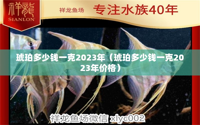 琥珀多少錢(qián)一克2023年（琥珀多少錢(qián)一克2023年價(jià)格）