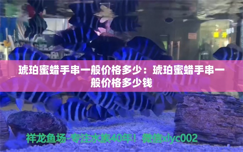 琥珀蜜蠟手串一般價格多少：琥珀蜜蠟手串一般價格多少錢