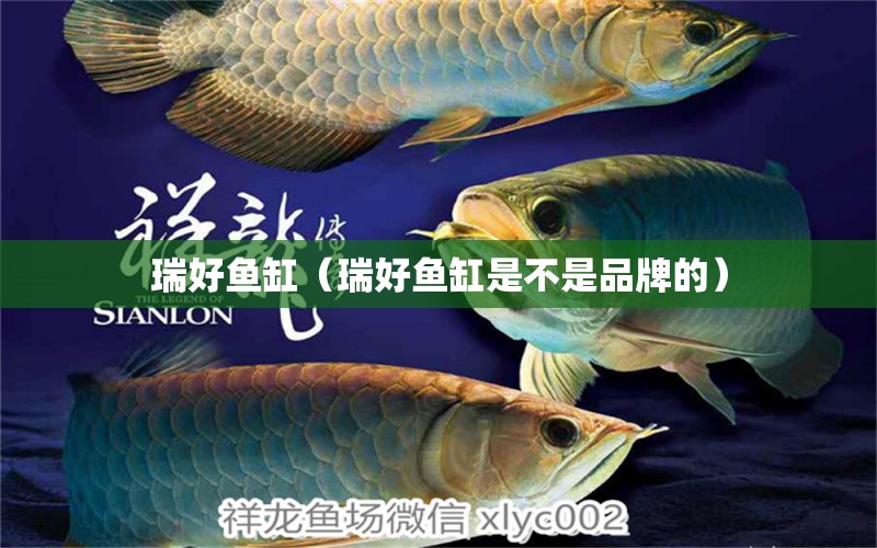 瑞好魚缸（瑞好魚缸是不是品牌的）