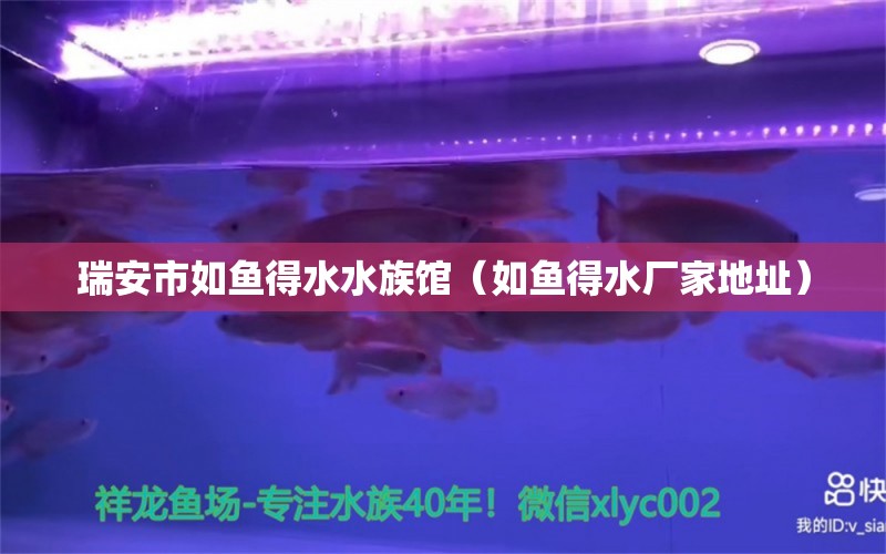 瑞安市如魚得水水族館（如魚得水廠家地址）