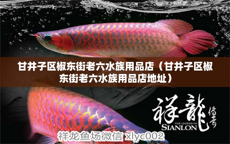 甘井子區(qū)椒東街老六水族用品店（甘井子區(qū)椒東街老六水族用品店地址）