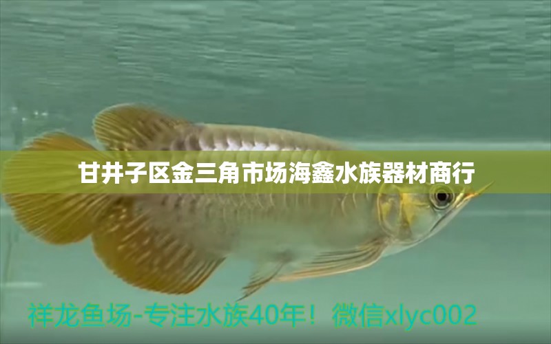 甘井子區(qū)金三角市場(chǎng)海鑫水族器材商行 全國(guó)水族館企業(yè)名錄