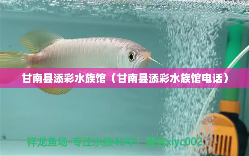 甘南縣添彩水族館（甘南縣添彩水族館電話） 全國(guó)水族館企業(yè)名錄