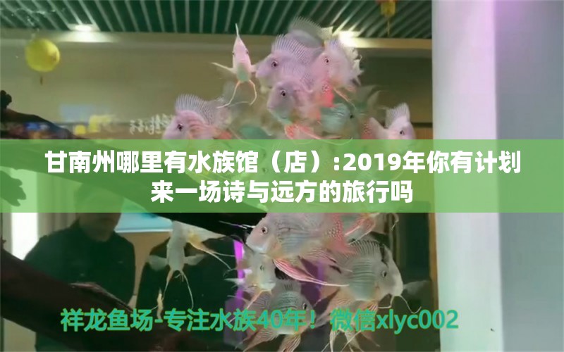 甘南州哪里有水族館（店）:2019年你有計劃來一場詩與遠方的旅行嗎