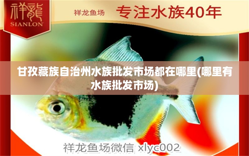 甘孜藏族自治州水族批發(fā)市場(chǎng)都在哪里(哪里有水族批發(fā)市場(chǎng)) 觀賞魚水族批發(fā)市場(chǎng)